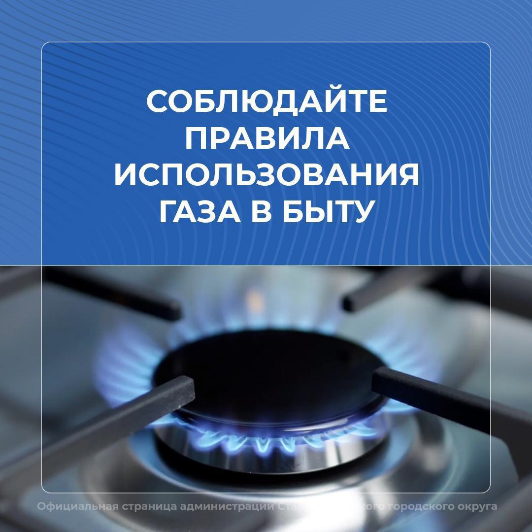 5344070387727723884 (1).jpg